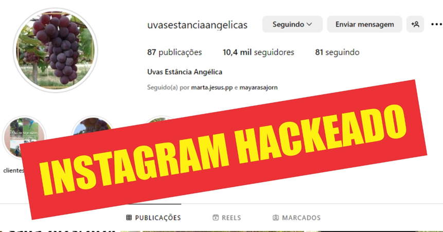A ‘Uvas Estância Angélica’ vem a público informar que seu Instagram (@uvasestanciaangelicas) foi hackeado na última sexta-feira (29/03), sendo que as mensagens postadas a partir desta data não são de responsabilidade da administração da empresa e que, possivelmente, são utilizadas para tentativa de golpe.