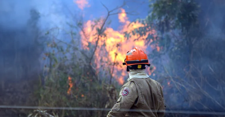 Com oito equipes em campo, uma batalha contra os fortes ventos e características ímpares da região do Nabileque é travada pelo Corpo de Bombeiros, que concentra os esforços em diversos focos de incêndio no Pantanal. Um trabalho intenso desafia as grandes chamas, evitando que elas se propaguem pelo caminho. Mais de duas semanas de ações diurnas e noturnas foram realizadas.