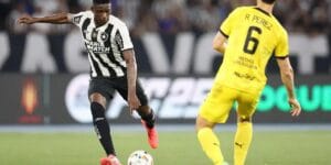 Botafogo classificação Libertadores