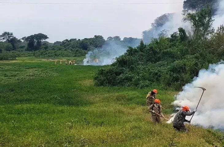Controle de Incêndios no Pantanal de MS