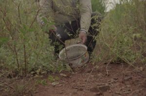 Agente de saúde utilizando celular para registrar visita domiciliar no combate às arboviroses.