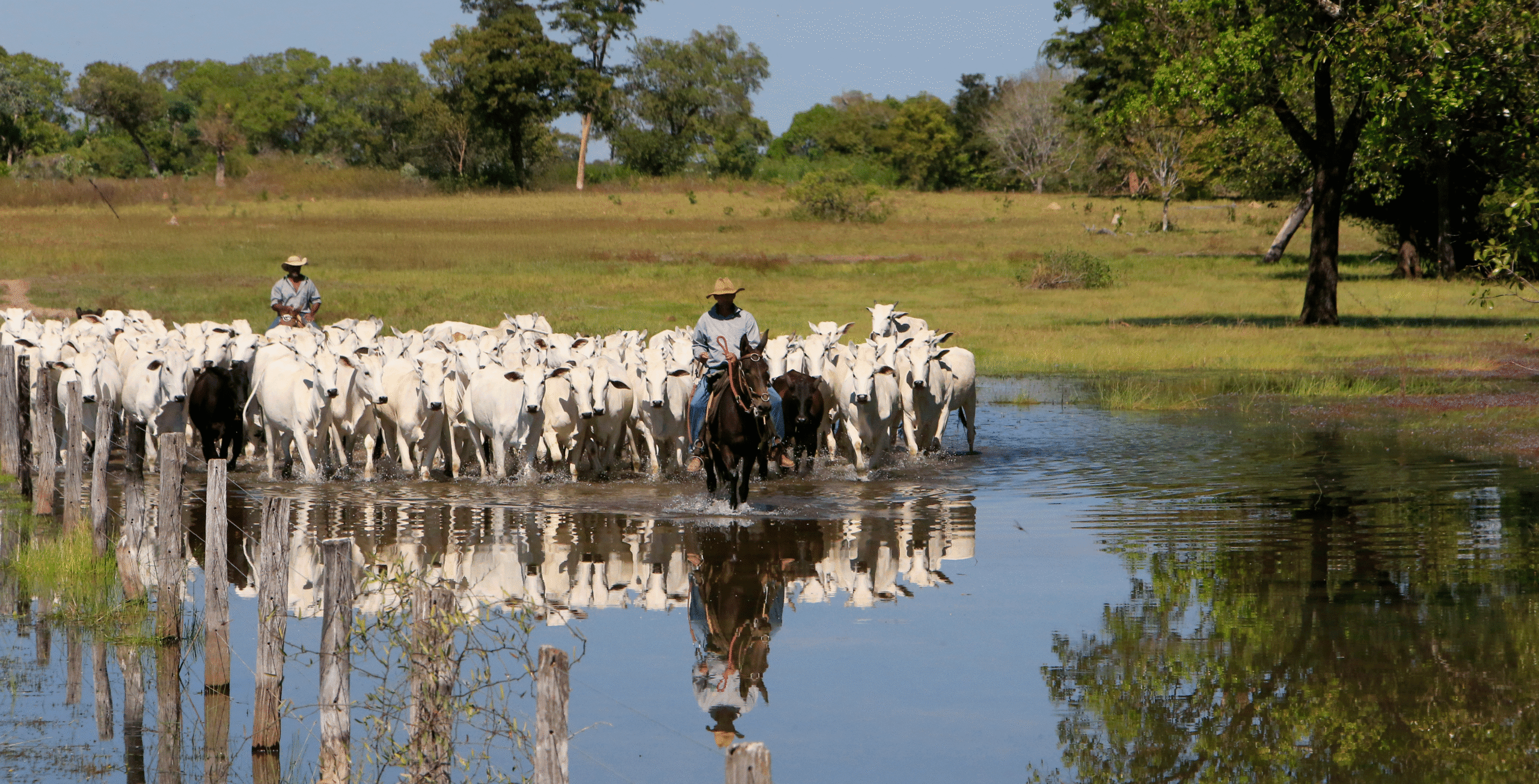 Atual News 23 Pantanal ajustada scaled