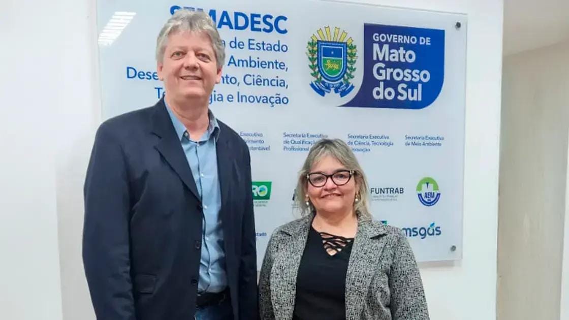 mercado livre de energia