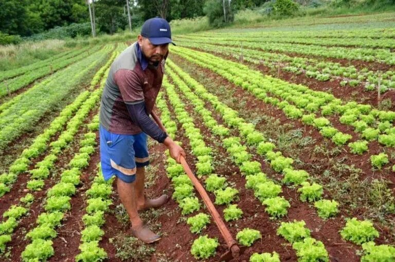 cadastro obrigatório pequenos produtores Campo Grande