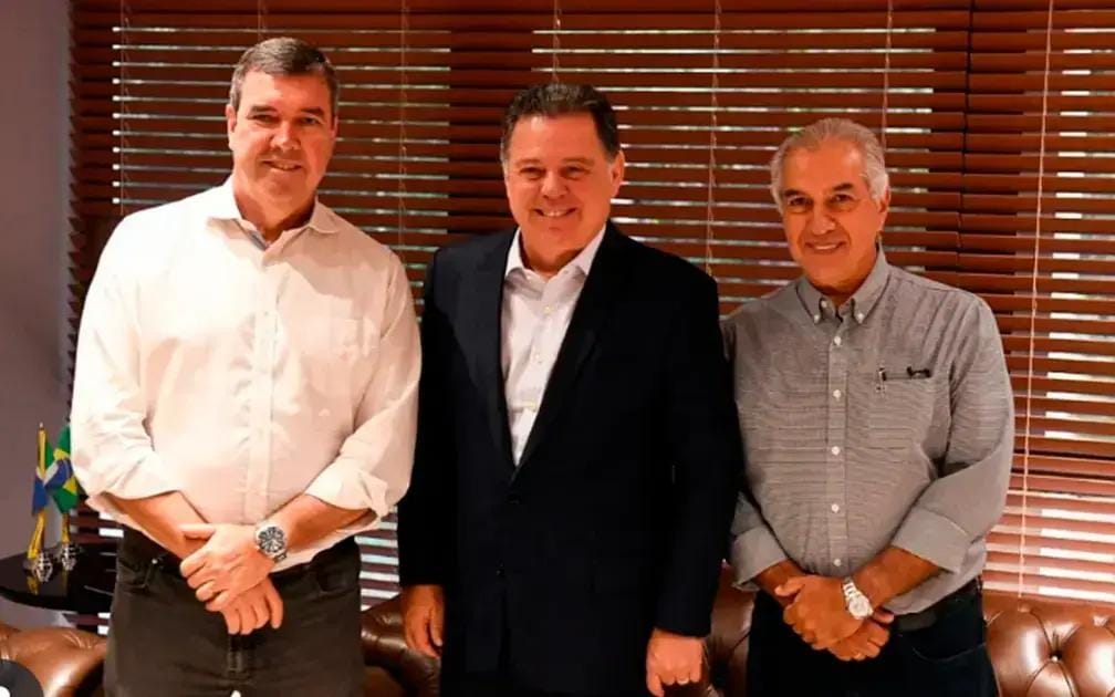 política MS