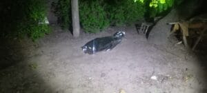 Atual News 8 atualnews 1765140042