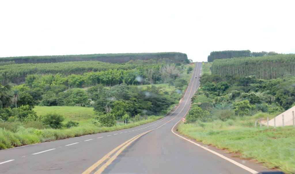 Concessão das rodovias MS-240 e MS-377 será leiloada na B3 até dezembro, afirma governo de MS