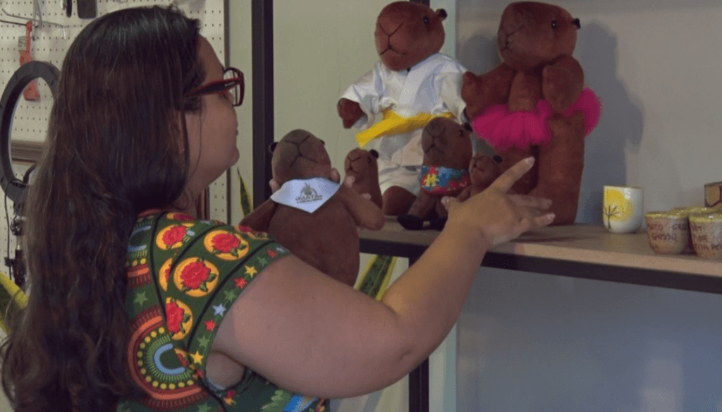 Artesã de Três Lagoas receberá moção da Câmara após conquistar medalha Conceição dos Bugres