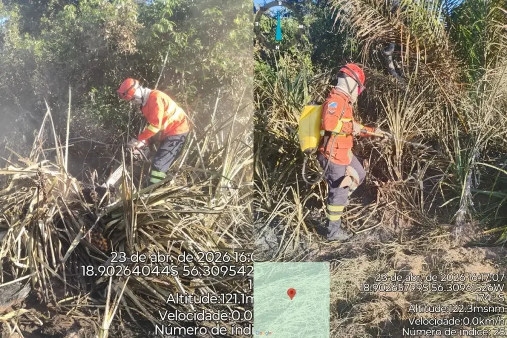 Incêndio persiste no Pantanal do Nabileque e mobiliza bombeiros, trabalhadores rurais e voluntários