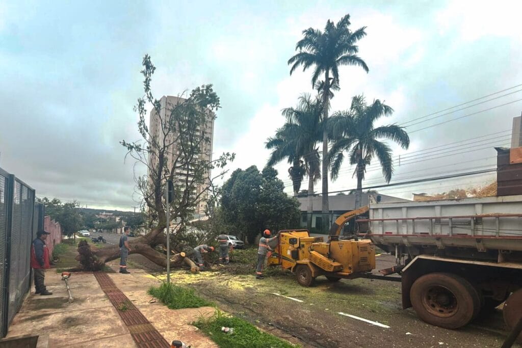 Campo Grande mobiliza força-tarefa para desobstruir vias após chuva de 64 mm