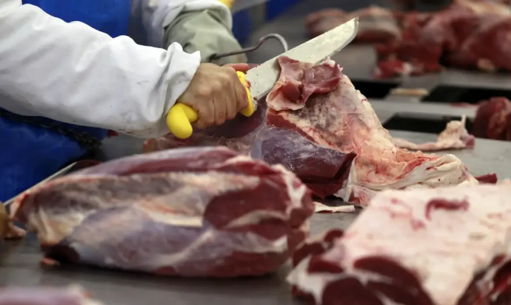 União Europeia suspende habilitação do Brasil para exportar produtos de origem animal a partir de 3 de setembro