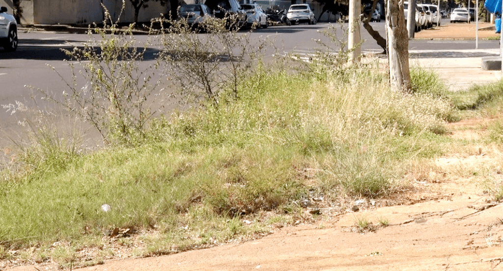 Prefeitura de Três Lagoas intensifica fiscalização de calçadas e aplica multa de quase R$ 400 a imóveis irregulares