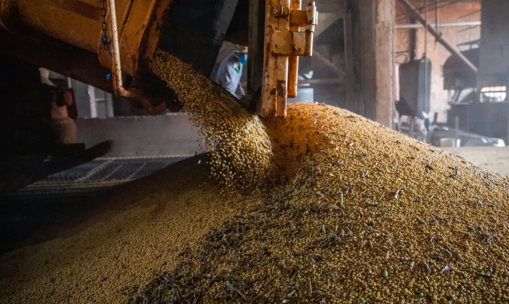 Economia brasileira avança 1,1% no primeiro trimestre de 2026, impulsionada por agropecuária e construção