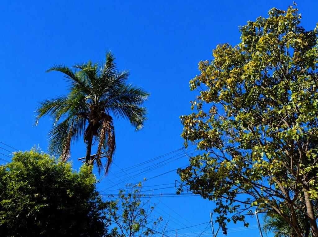 Manhã fria e tarde ensolarada marcam a quarta-feira em Paranaíba