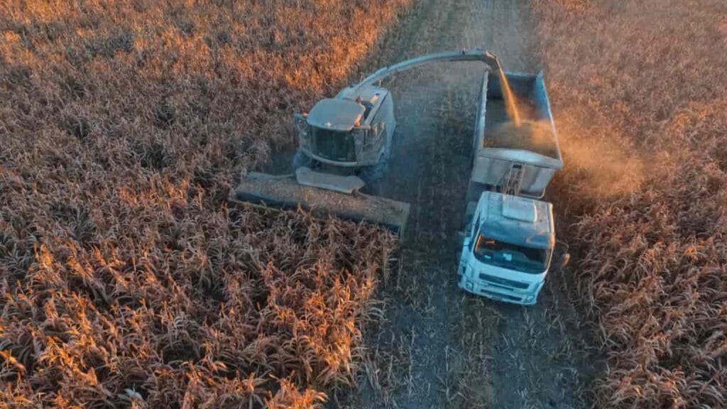 Preço do diesel mantém fretes agrícolas elevados nas principais rotas, aponta Conab