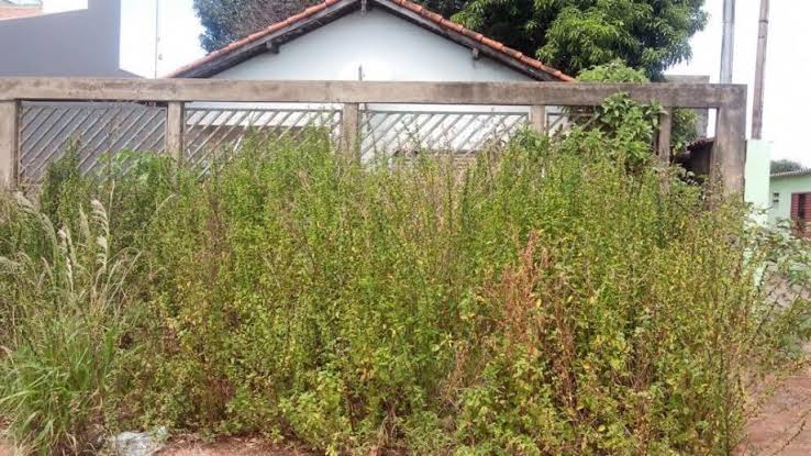 Prefeitura de Campo Grande dá 30 dias para proprietários corrigirem irregularidades em terrenos urbanos