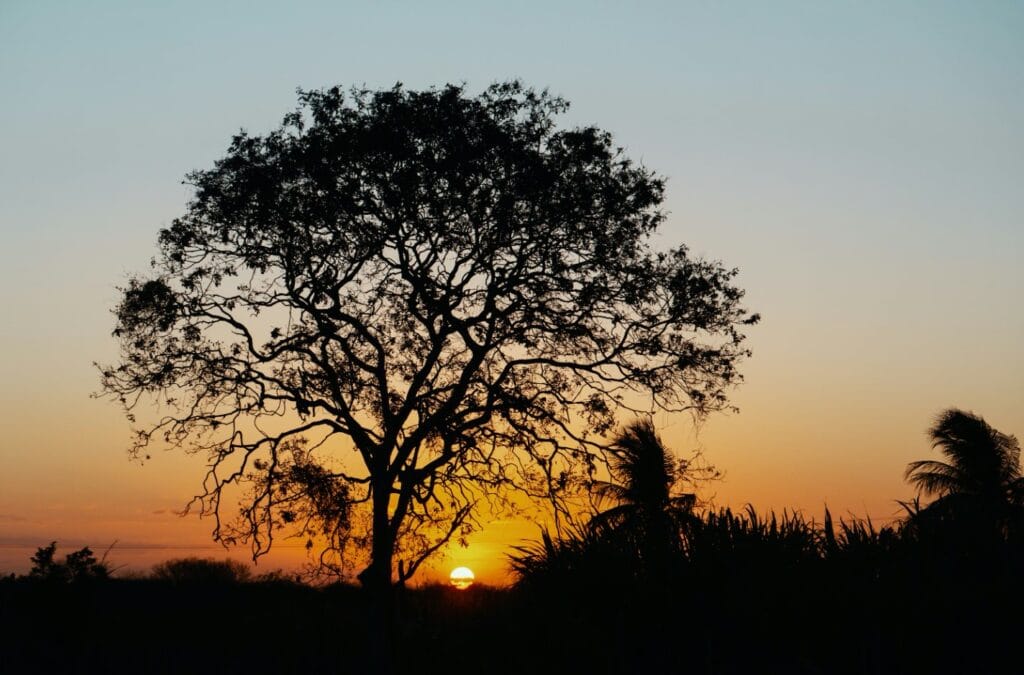 Paranaíba registra calor de até 36°C e umidade mínima de 23% nesta quinta-feira (20)