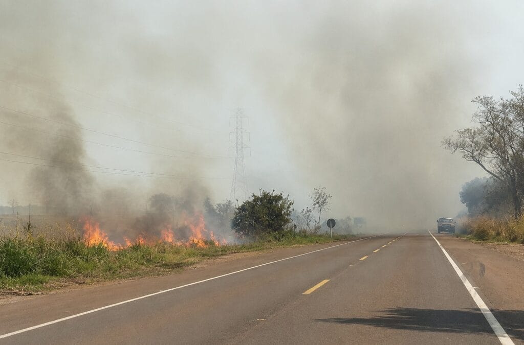 Incêndio de grandes proporções na BR-262 entre Três Lagoas e Água Clara mobiliza equipes no sábado (29)