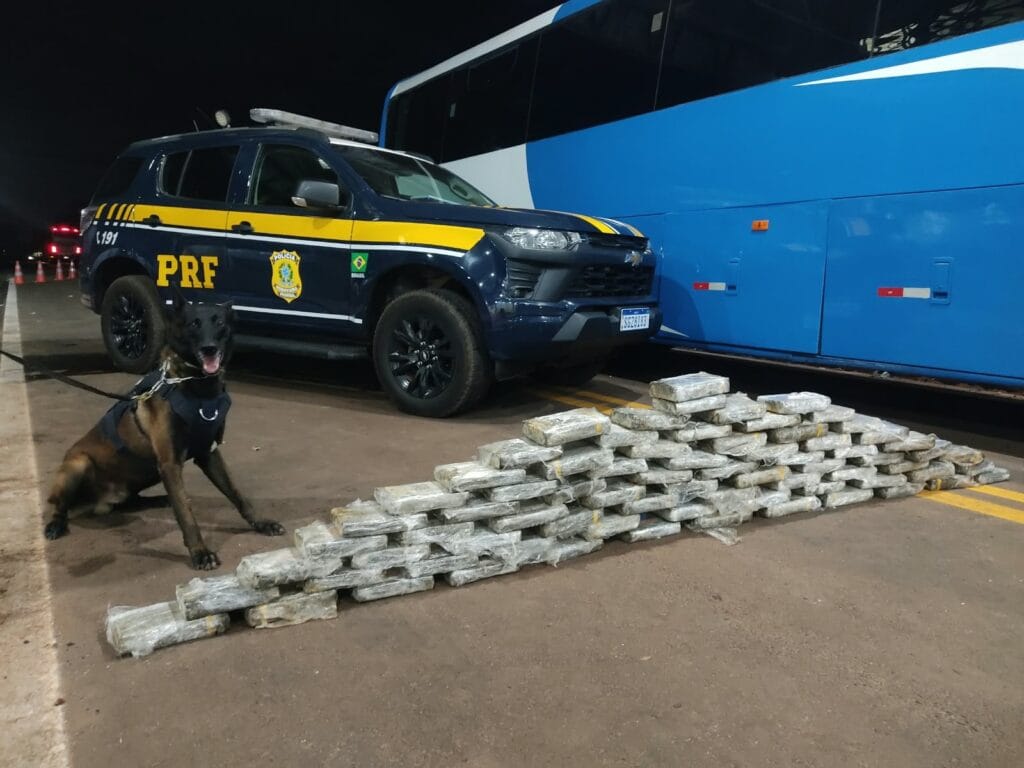 Operação Vastum na BR-262 prende 37 suspeitos e apreende 313 kg de drogas em MS